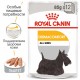 Royal Canin Dermacomfort Loaf Консерви для собак