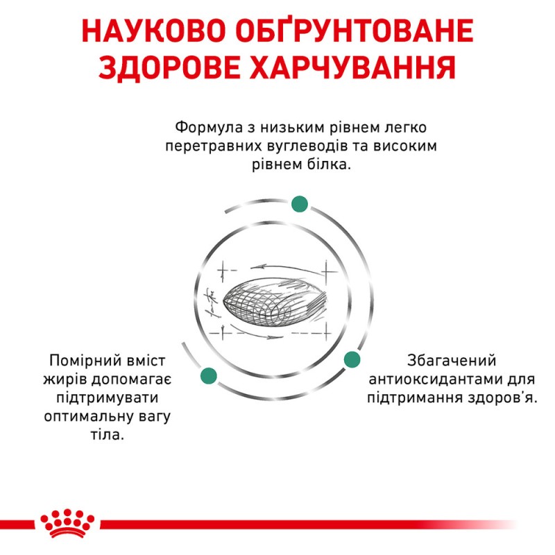 Royal Canin Diabetic Feline Лікувальний корм для дорослих кішок