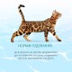 Optimeal Cat Beauty Podium Консерви для дорослих кішок з тунцем та кільцями кальмару в соусі