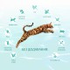 Optimeal Cat Beauty Fitness Healthy Weight & Joints Беззерновий сухий корм для дорослих кішок для суглобів та оптимальної ваги