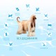 Optimeal Dog Beauty Podium Shiny Coat & Dental Care Сухий корм для дорослих собак для блиску вовни та догляд за зубами