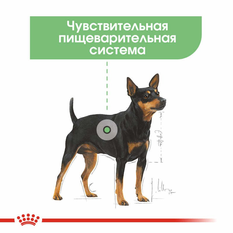Royal Canin Digestive Care Loaf Консерви для собак