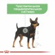 Royal Canin Digestive Care Loaf Консерви для собак
