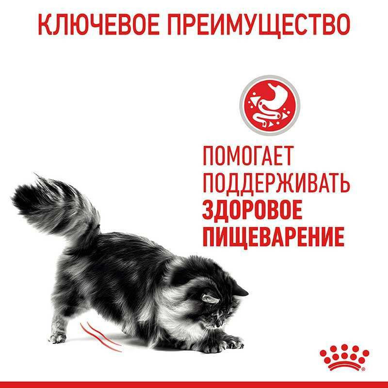 Royal Canin Digest Sensitive Консерви для дорослих кішок