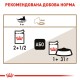 Royal Canin Ageing +12 Консерви для дорослих кішок