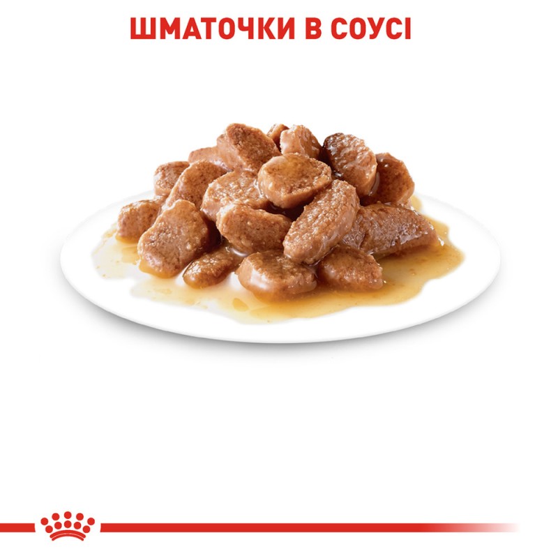 Royal Canin Ageing +12 Консерви для дорослих кішок