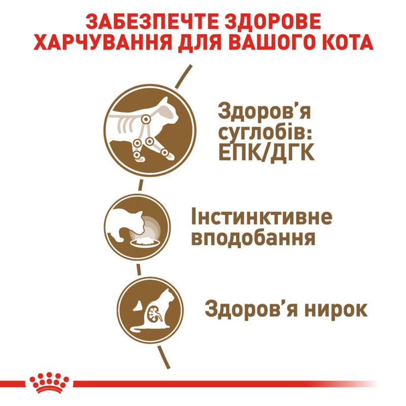 Royal Canin Ageing +12 Консерви для дорослих кішок