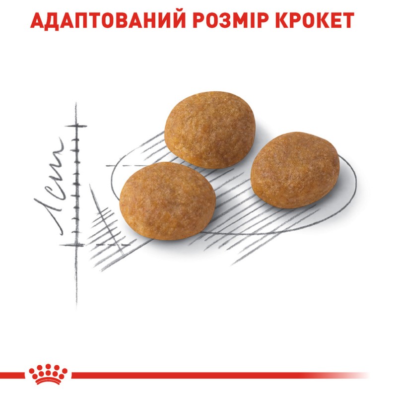 Royal Canin Exigent Aromatic Сухий корм для дорослих кішок
