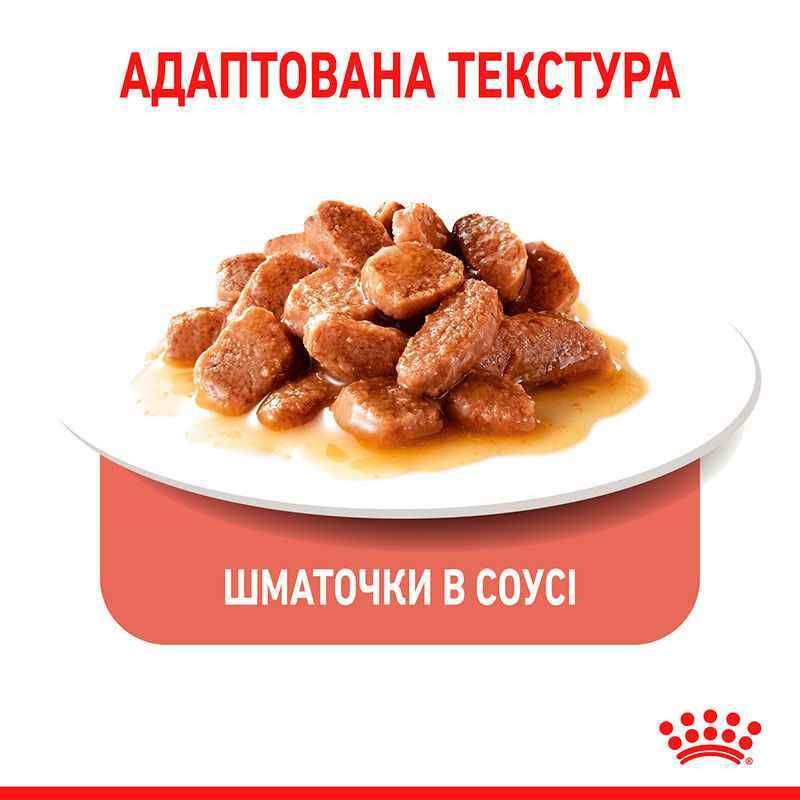 Royal Canin Appetite Control in Gravy Консерви для дорослих кішок
