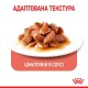 Royal Canin Appetite Control in Gravy Консерви для дорослих кішок