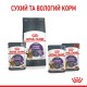 Royal Canin Appetite Control in Jelly Консерви для дорослих кішок