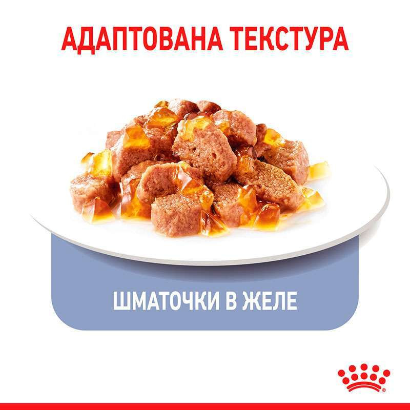 Royal Canin Appetite Control in Jelly Консерви для дорослих кішок