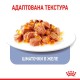 Royal Canin Appetite Control in Jelly Консерви для дорослих кішок