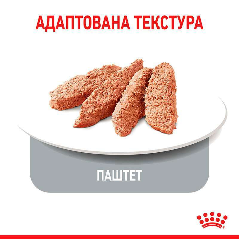 Royal Canin Appetite Control Loaf Консерви для дорослих кішок