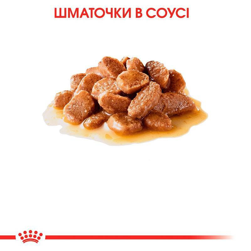 Royal Canin Mini Ageing 12+ Консерви для собак