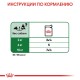 Royal Canin Mini Ageing 12+ Консерви для собак