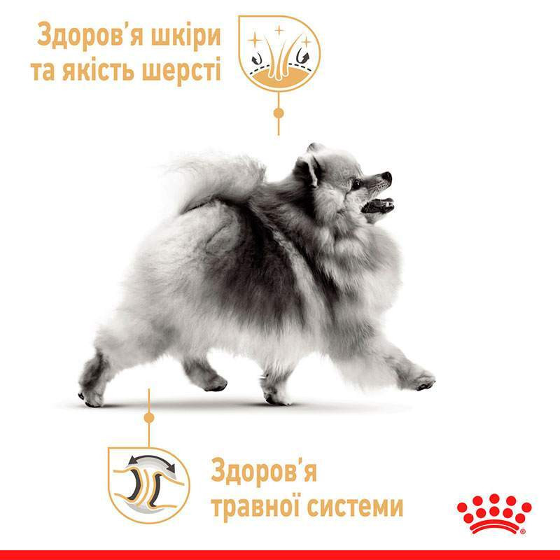 Royal Canin Pomeranian Adult Сухий корм для собак