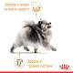 Royal Canin Pomeranian Adult Сухий корм для собак