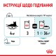 Royal Canin Sensory Feel Jelly Консерви для дорослих кішок