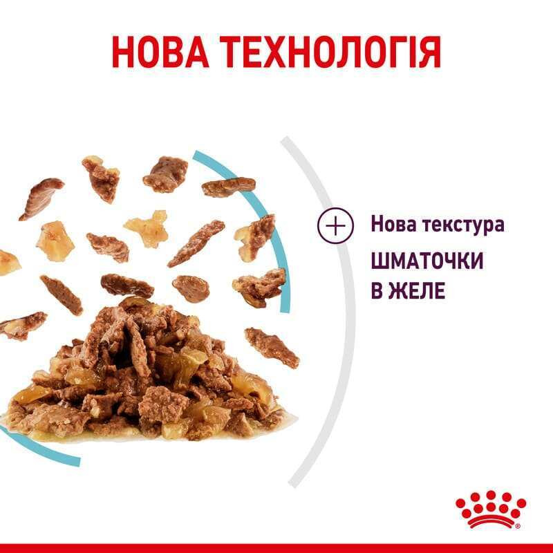 Royal Canin Sensory Feel Jelly Консерви для дорослих кішок
