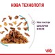 Royal Canin Sensory Feel Jelly Консерви для дорослих кішок