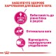 Royal Canin Exigent Protein Сухий корм для дорослих кішок