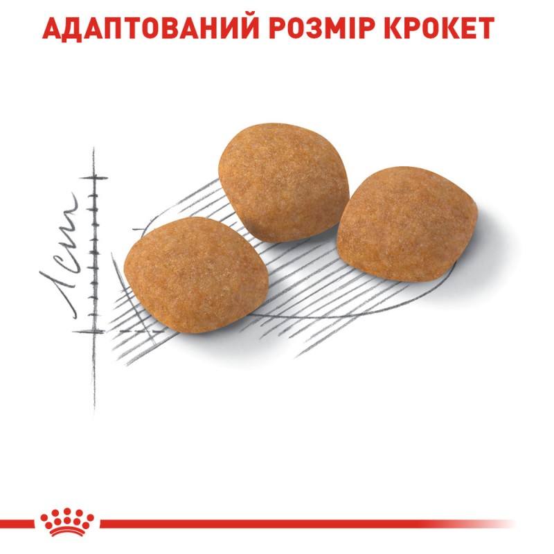 Royal Canin Exigent Protein Сухий корм для дорослих кішок