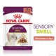 Royal Canin Sensory Smell Gravy Консерви для дорослих кішок