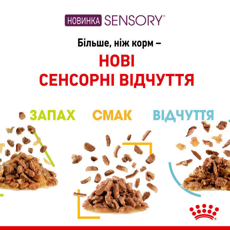Royal Canin Sensory Smell Gravy Консерви для дорослих кішок