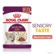 Royal Canin Sensory Taste Gravy Консерви для дорослих кішок