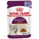 Royal Canin Sensory Taste Jelly Консерви для дорослих кішок
