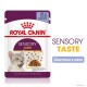 Royal Canin Sensory Taste Jelly Консерви для дорослих кішок
