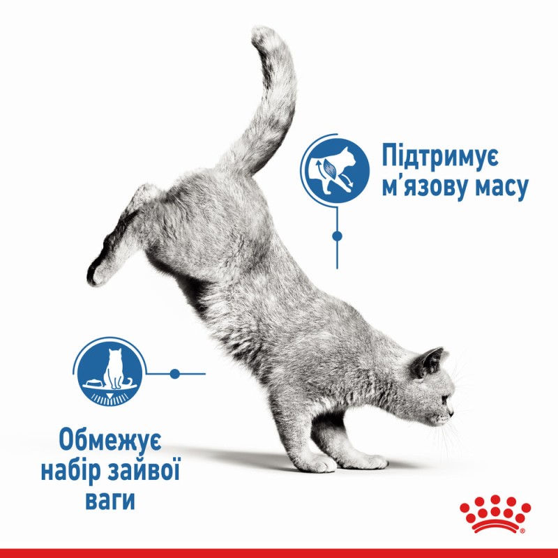 Royal Canin Light Weight Care Loaf Консерви для дорослих кішок