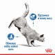 Royal Canin Light Weight Care Loaf Консерви для дорослих кішок