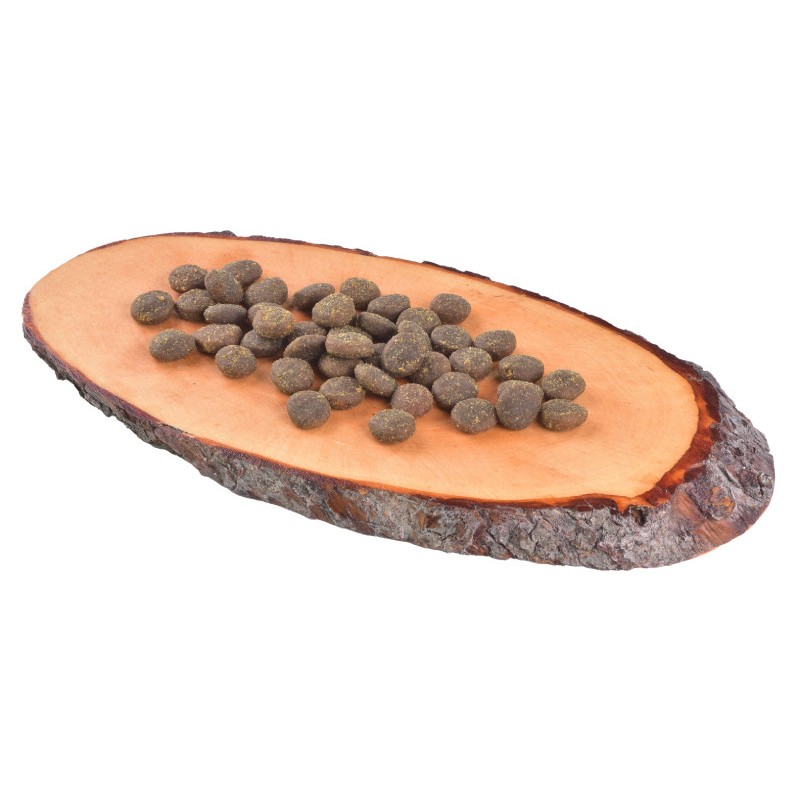 Carnilove True Fresh Fish for Adult Dogs Беззерновий сухий корм для дорослих собак з рибою