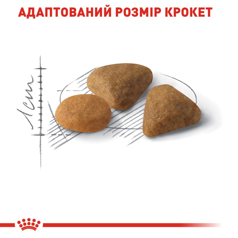 Royal Canin Exigent Savour Сухий корм для дорослих кішок