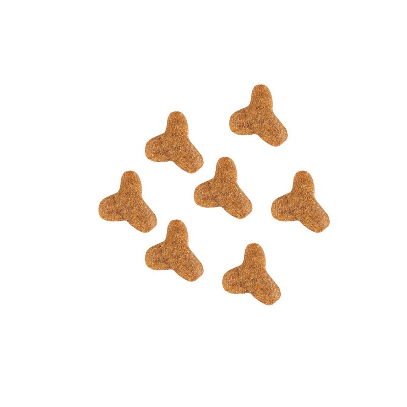 Royal Canin Fibre Response Feline Лікувальний корм для дорослих кішок