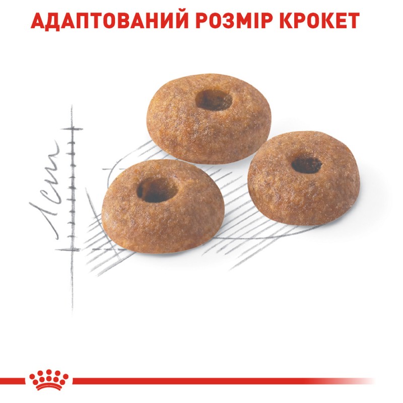 Royal Canin Fit Сухий корм для дорослих кішок