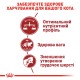 Royal Canin Fit Сухий корм для дорослих кішок