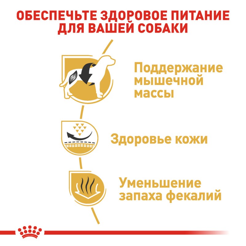 Royal Canin French Bulldog Adult Сухий корм для собак