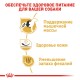 Royal Canin French Bulldog Adult Сухий корм для собак