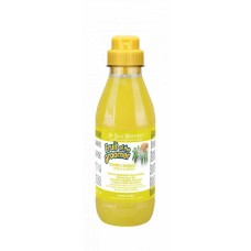 Iv San Bernard Ginger та Elderberry Шампунь дезінфікуюча, з бузиною та імбиром