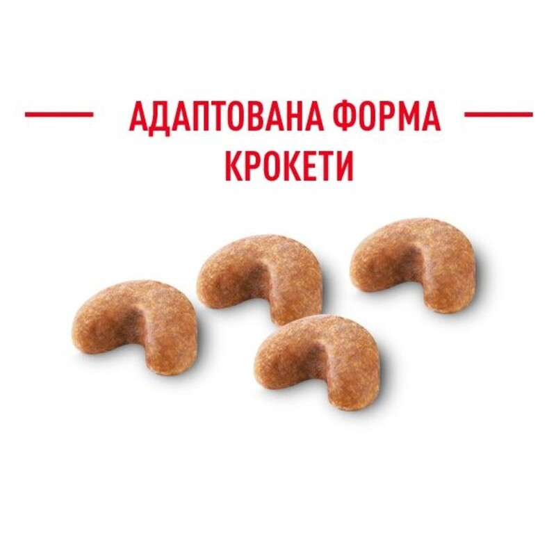 Royal Canin French Bulldog Puppy Сухий корм для цуценят
