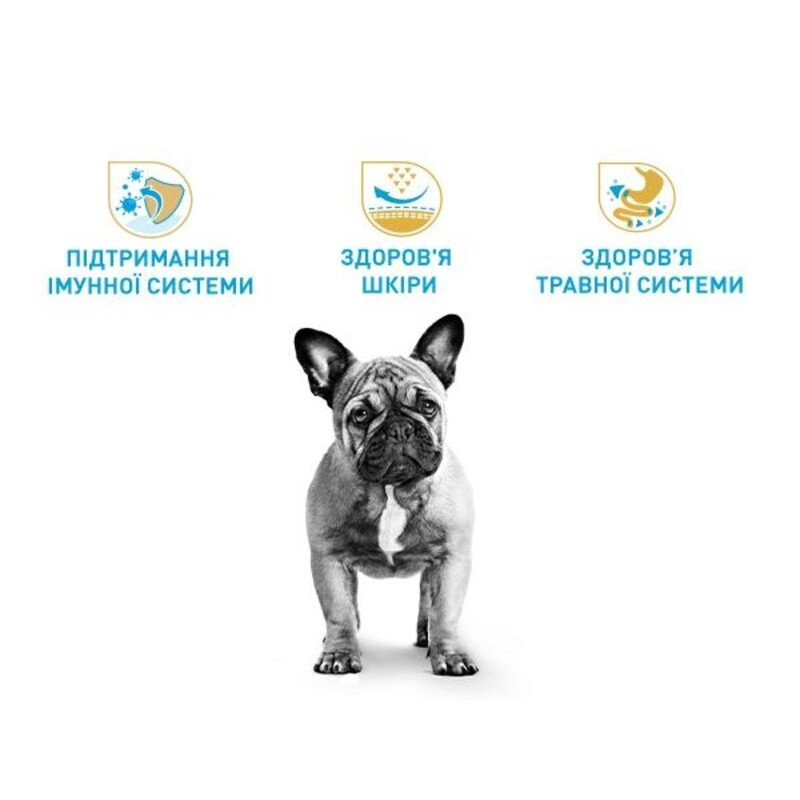 Royal Canin French Bulldog Puppy Сухий корм для цуценят