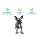Royal Canin French Bulldog Puppy Сухий корм для цуценят