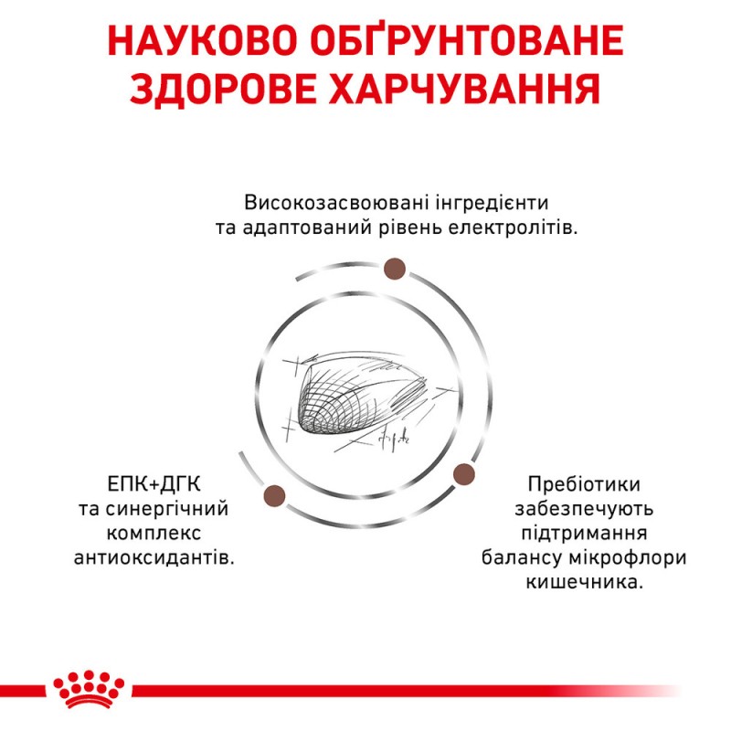 Royal Canin Gastro Intestinal Feline Лікувальний корм для дорослих кішок