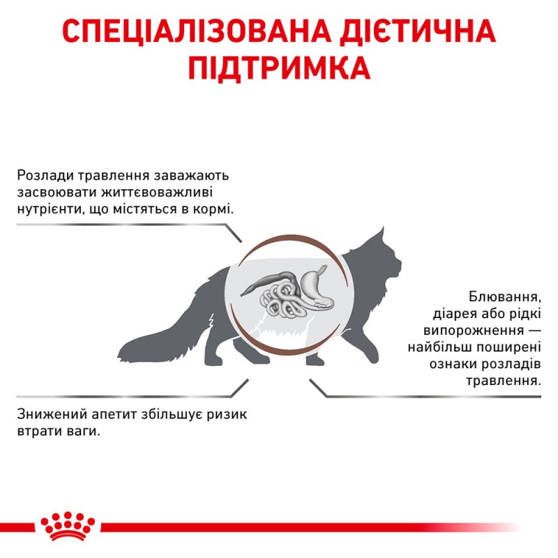 Royal Canin Gastro Intestinal Feline Лікувальний корм для дорослих кішок