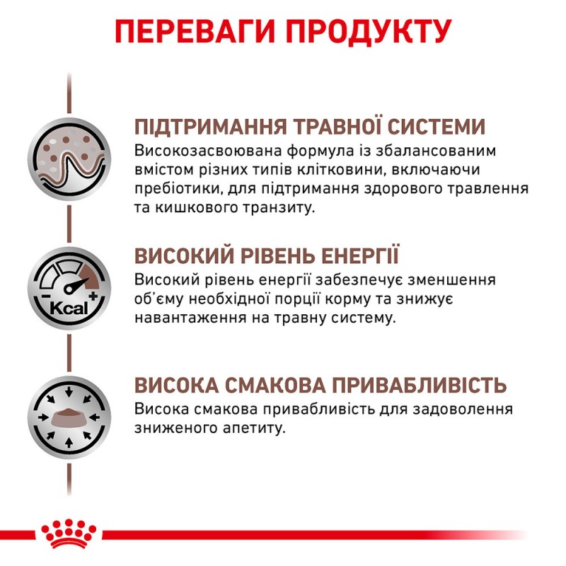 Royal Canin Gastro Intestinal Feline Лікувальний корм для дорослих кішок