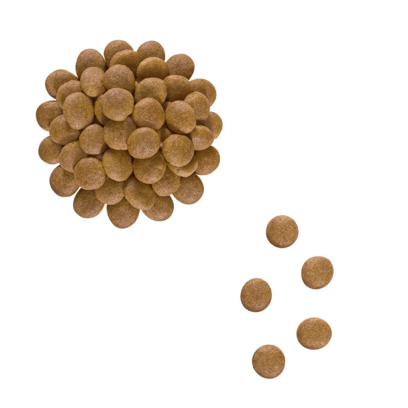 Royal Canin Anallergenic Feline Лікувальний корм для дорослих кішок