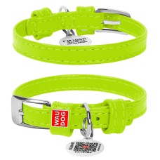 Collar Waudog Glamour Нашийник для собак шкіряний салатовий